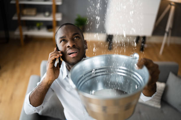 Best Mold removal after water damage  in Damascus, OR