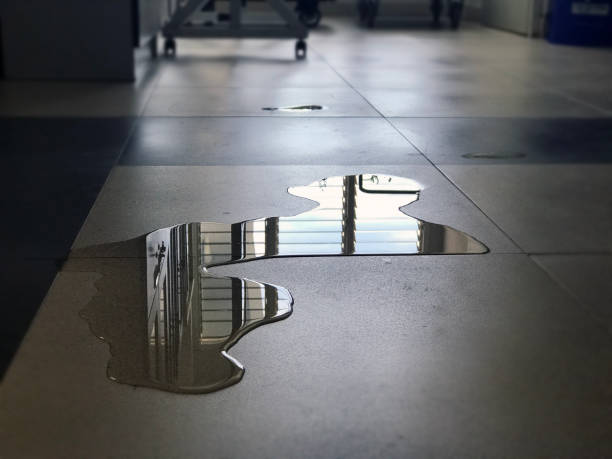 Best Carpet water damage restoration  in Damascus, OR